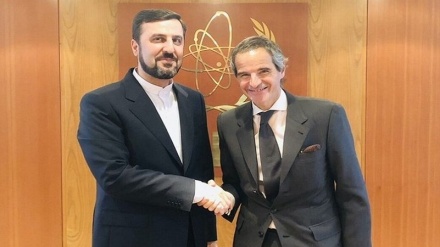 Iranian envoy, IAEA chief discuss JCPOA
