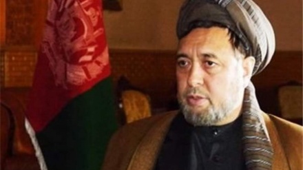  محقق: طالبان برادران نااهل مردم افغانستان هستند