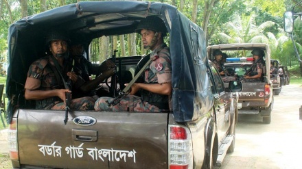 ভারতে কোরবানির পশুর চামড়া পাচার ঠেকাতে সীমান্তে কঠোর নজরদারি বিজিবি'র