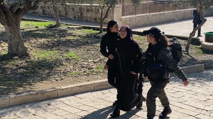 Aparat Keamanan Zionis Tangkap Lima Wanita Palestina