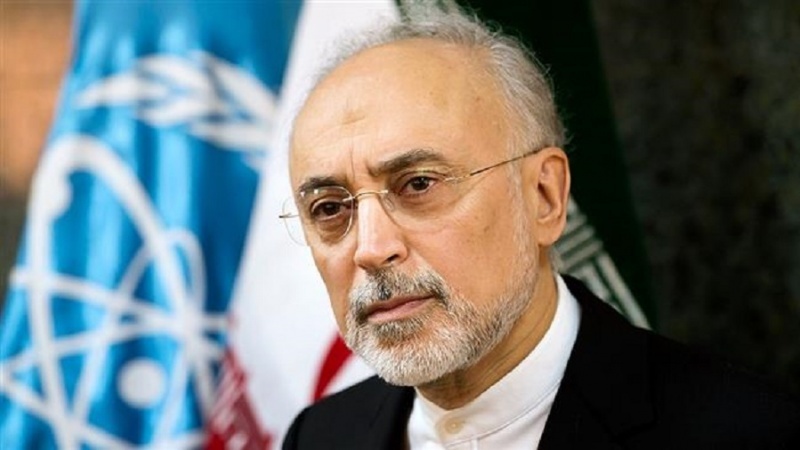 Ali Akbar Salehi, ketua AEOI