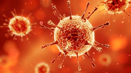 阿富汗提高警戒严防冠抗病毒