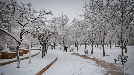 Alborz dan Tehran Diguyur Salju Lebat