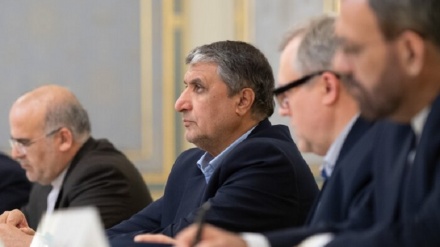 鲁哈尼特使与乌克兰总统举行会见