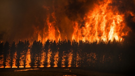 豪での山火事が気候に深刻な影響