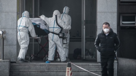 中国，人们对冠状病毒的担心增加，他们呼吁遏制