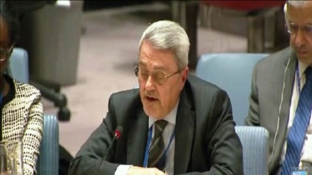 伊拉克呼吁在安全理事会对苏雷曼尼中将和穆罕迪斯的暗杀进行定罪