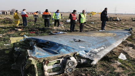 Kedubes Ukraina: Boeing 737 Jatuh di Iran, Masalah Teknis bukan Teror