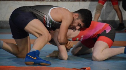 গল্প ও প্রবাদের গল্প (পর্ব ৩১)