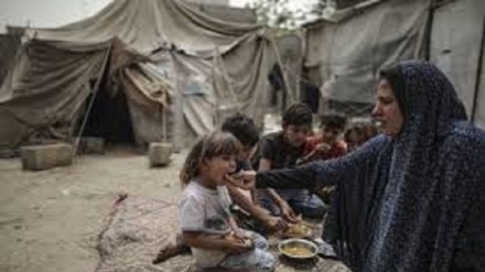 Lebih Separuh Warga Gaza tidak Memiliki Keamanan Pangan