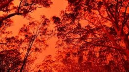 Australia, sette persone sono morte per gli incendi 