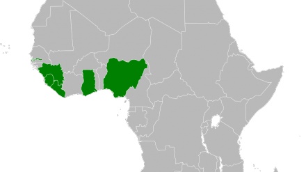 Africa: sei paesi critici su riforma franco Cfa