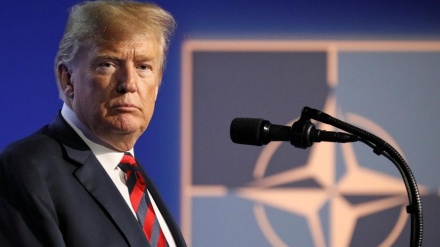 Сон Трампа о будущем НАТО