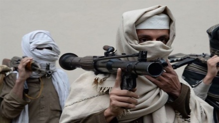 نگرانی ولسی جرگه افغانستان ازدست یافتن طالبان به سلاح های پیشرفته و ضدهوایی 