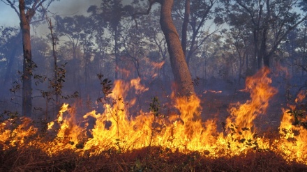 To manage fires, Australia must follow the lead of aboriginal communities
