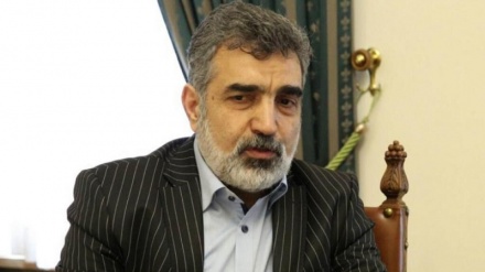 איראן מתקרבת לעשות בעצמה את התחזוקה בתחנת בושהר