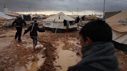 Liga Arab: Waspadai Penyebaran Corona di Kamp Pengungsi Suriah