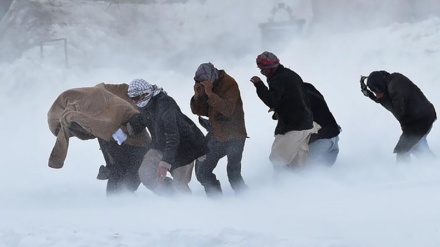 アフガニスタン西部・南部で降雪と寒波により数十名が死亡