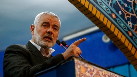 哈尼亚：继续抵抗直到解放巴勒斯坦