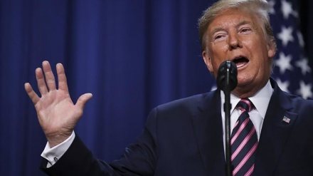 米アーティスト、「イラン司令官テロは米トランプ大統領の最も愚かな行い」
