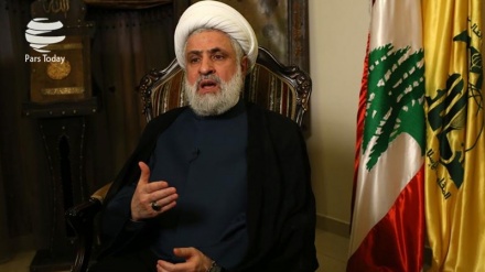 纳伊姆·卡西姆：美国暗杀苏雷曼尼将军是极其愚蠢的行为