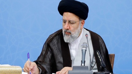 دستور رئیس قوه قضائیه ایران برای تسریع در اقدامات قضایی حادثه سقوط هواپیمای اوکراین