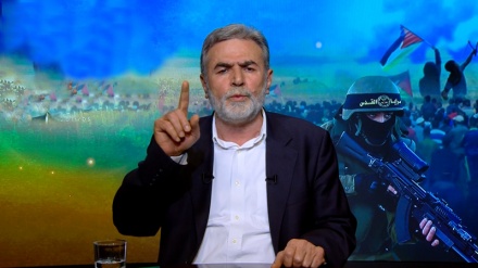 Xhihadi Islamik i Palestinës vlerëson rolin e gjeneral Kasem Solejmanit