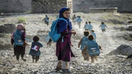 رد ادعای تحصیل دانش آموزان افغانستانی در پاکستان