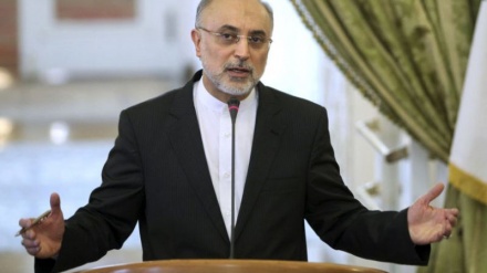 סאלחי: איראן לא תהסס לנקוט בכל צעד להגן על בטחונה