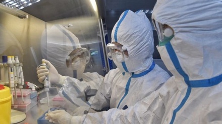 کرونا مردها را بیشتر از زن ها می کشد