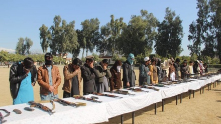 پیوستن 27 عضو طالبان به پروسه صلح در ولایت ننگرهار+عکس