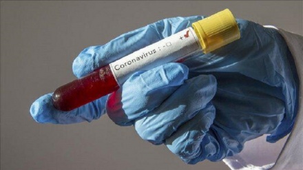 Countries stepping up efforts to fight new coronavirus