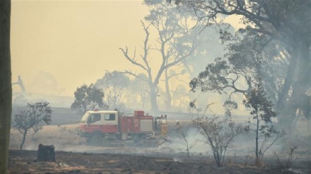 Coronavirus, in Australia quarantena per chi arriva dall'estero