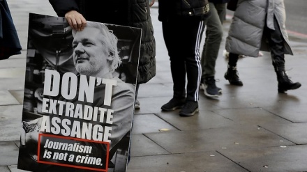 Assange: Consiglio Europa, no estradizione