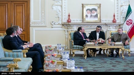 योरोप के वादे खोखले, इन्सटैक्स बेअसर हैः लारीजानी