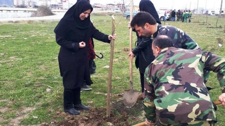 150 qılə do Ostoro stili kəno kaştey be