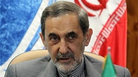 Top Iranian official hails Turkey's move on Hagia Sophia