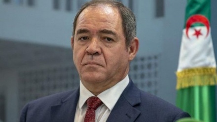 Cezayir: Libya'ya gönderilen silahlar bölgenin güvenliğini tehdit ediyor 