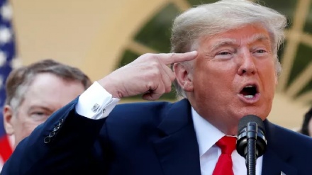 טראמפ על הדיווח שרוסיה מסייעת לו בבחירות: הדמוקרטים משקרים