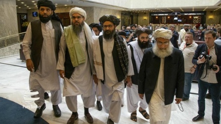 塔利班声称有些组织打算破坏“减少暴力活动”协议