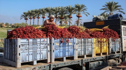 Prohíben importación de productos israelíes a mercados palestinos