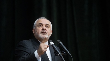 扎里夫：一些阿拉伯国家对“世纪交易”的态度令人不齿