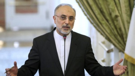 Salehi: Iran tidak Ragu-ragu Jaga Keamanannya