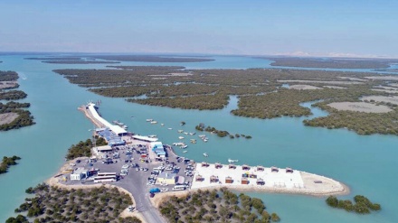 Keindahan Hutan Bakau di Pulau Qeshm (1)