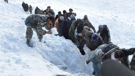 65 نفر از آغاز فصل سرما در افغانستان جان باختند
