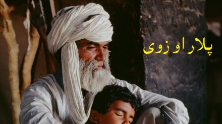 پلار او زوی
