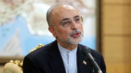 Salehi:Eýran öz howpsuzlygyny goramakda hiç bir zatdan gaýra durmaz