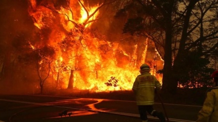 اعلام وضع اضطراری آتش‌سوزی در پایتخت استرالیا