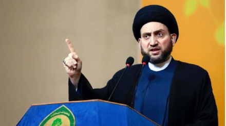 塞义德·阿马尔·哈基姆：古都斯是穆斯林的标识