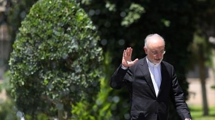 Iran Nuclear Chief in Austria for ICONS 2020